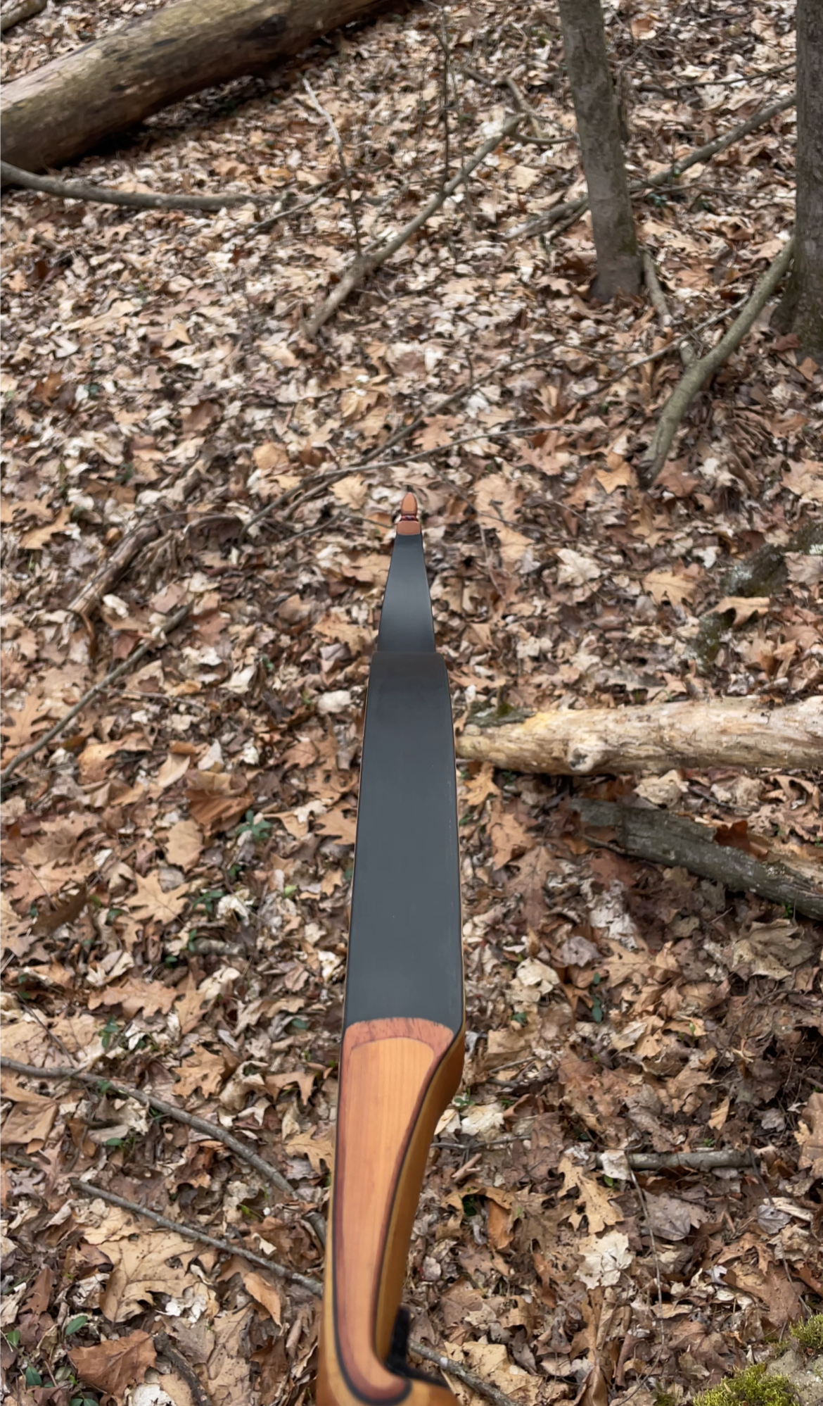 60" Dead End One Piece Recurve 43# @ 28"
