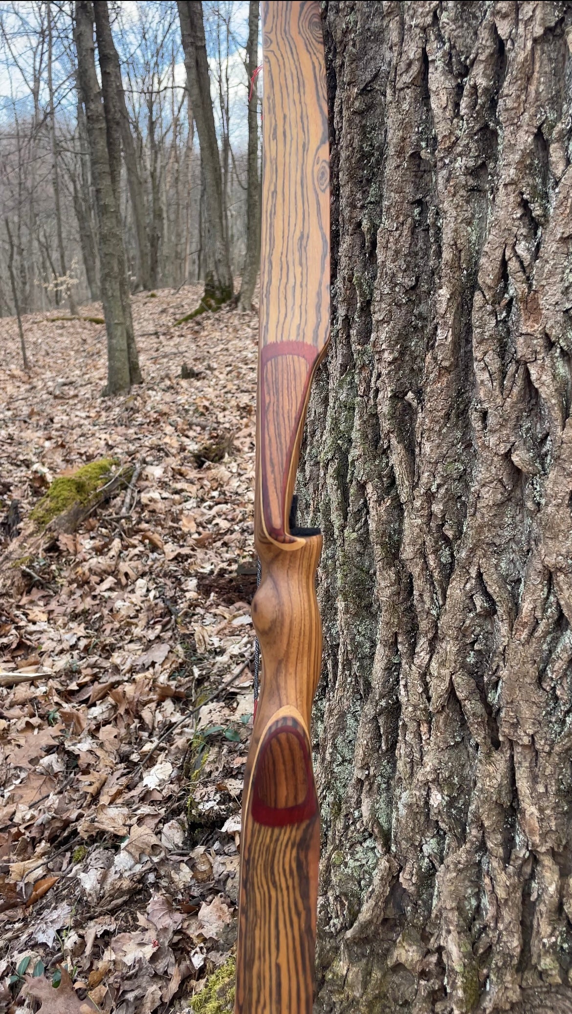 60" Dead End One Piece Recurve 44# @ 28"