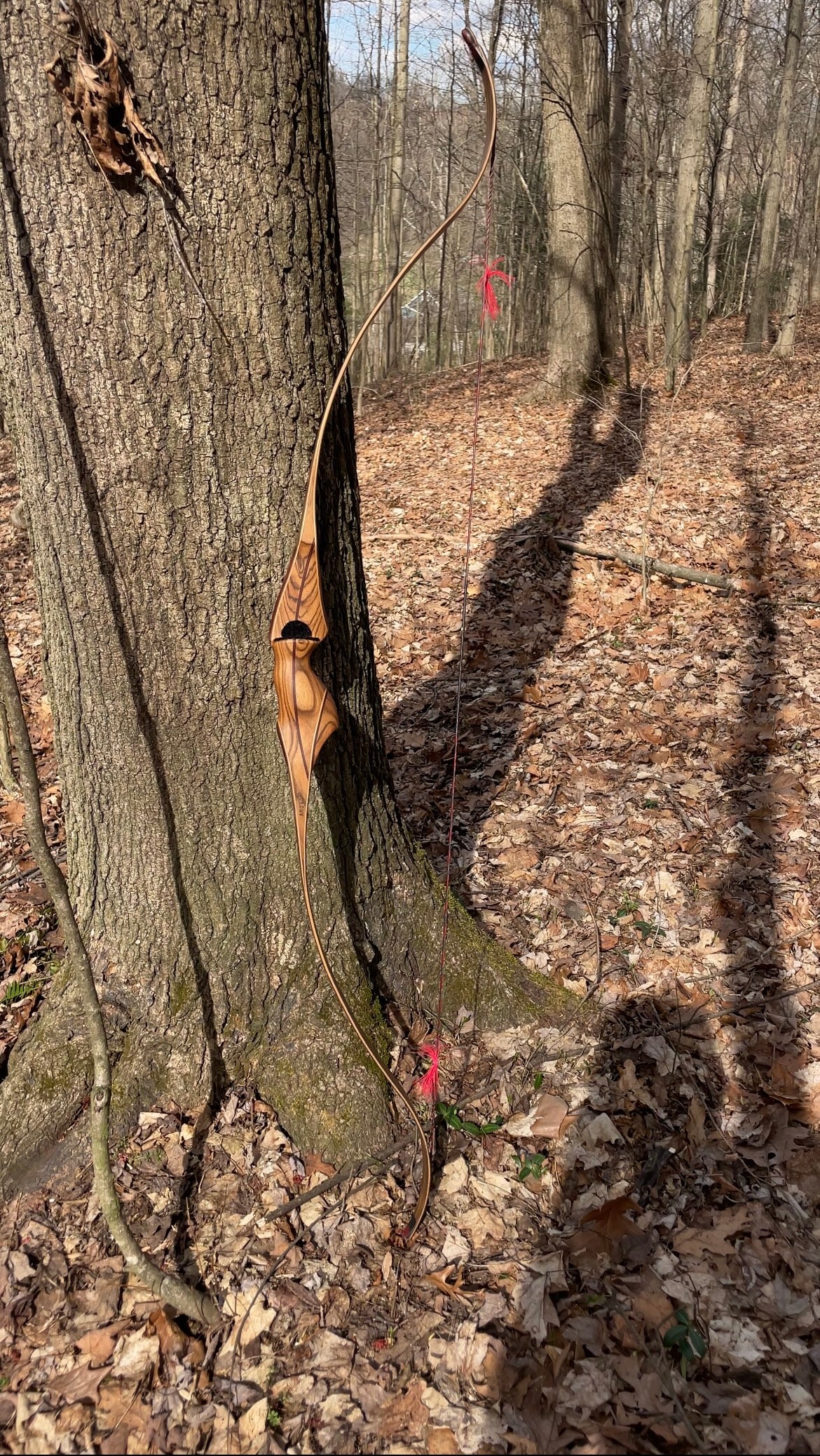 60" Dead End One Piece Recurve 44# @ 28"