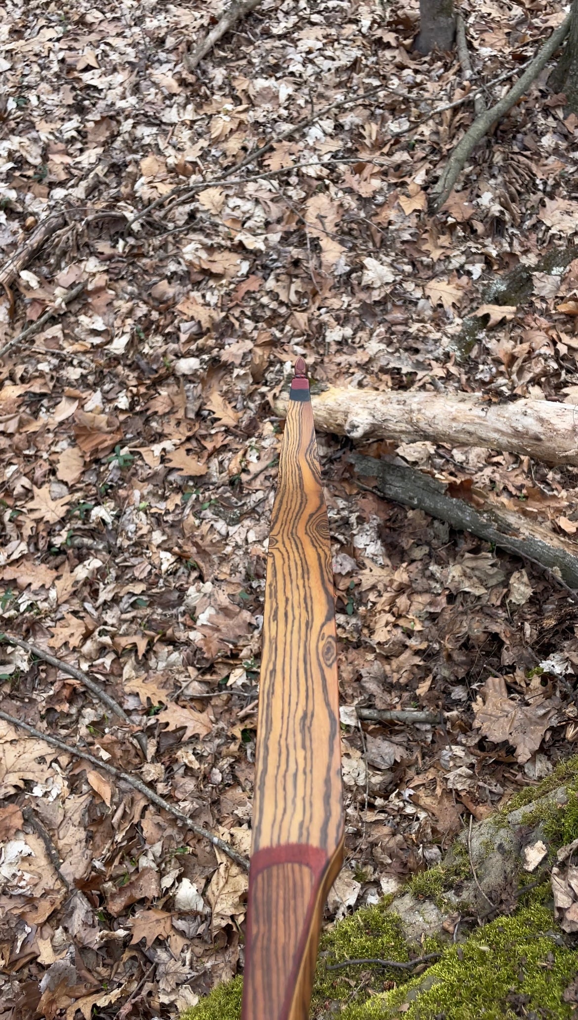 60" Dead End One Piece Recurve 44# @ 28"