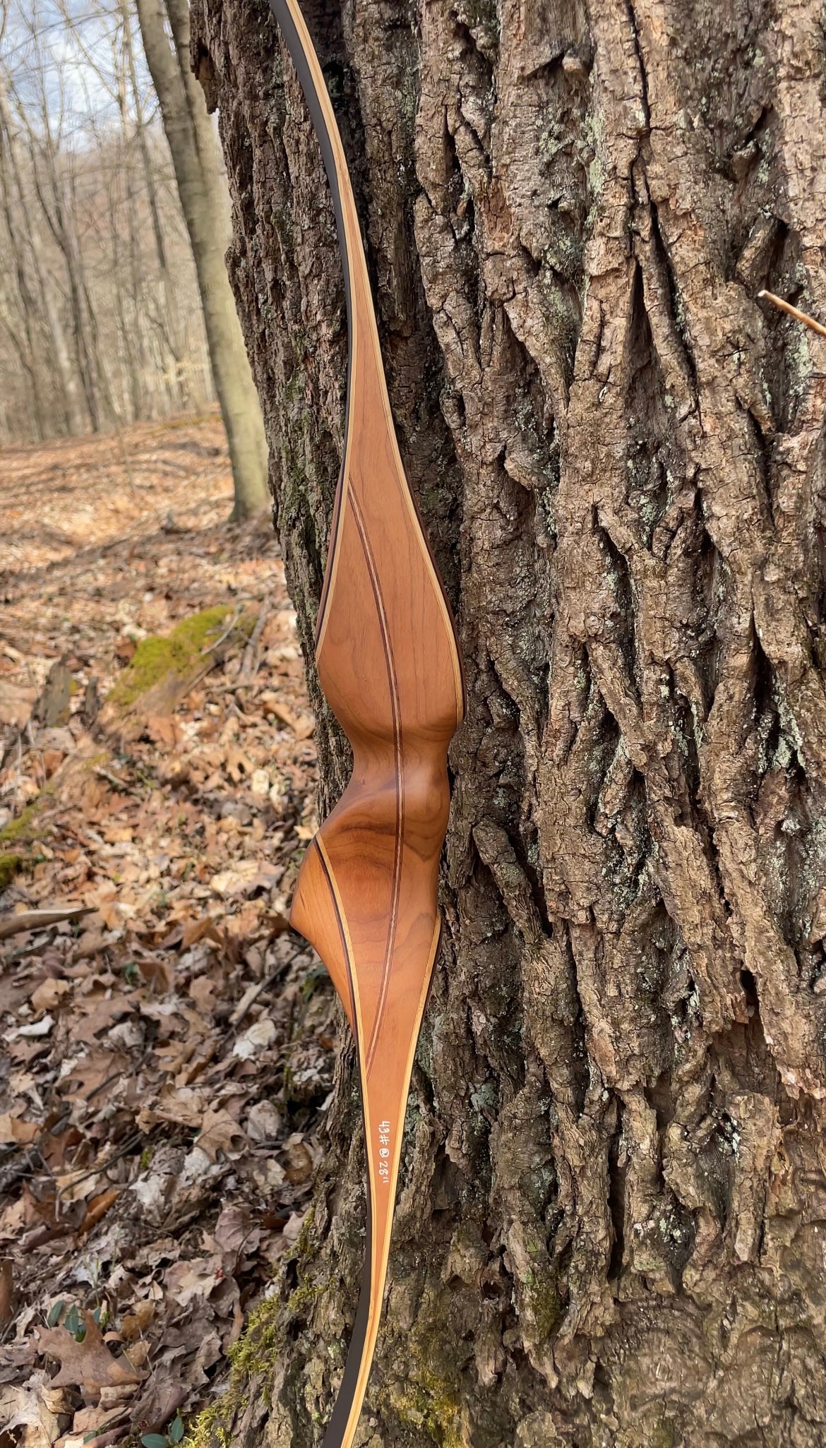60" Dead End One Piece Recurve 43# @ 28"