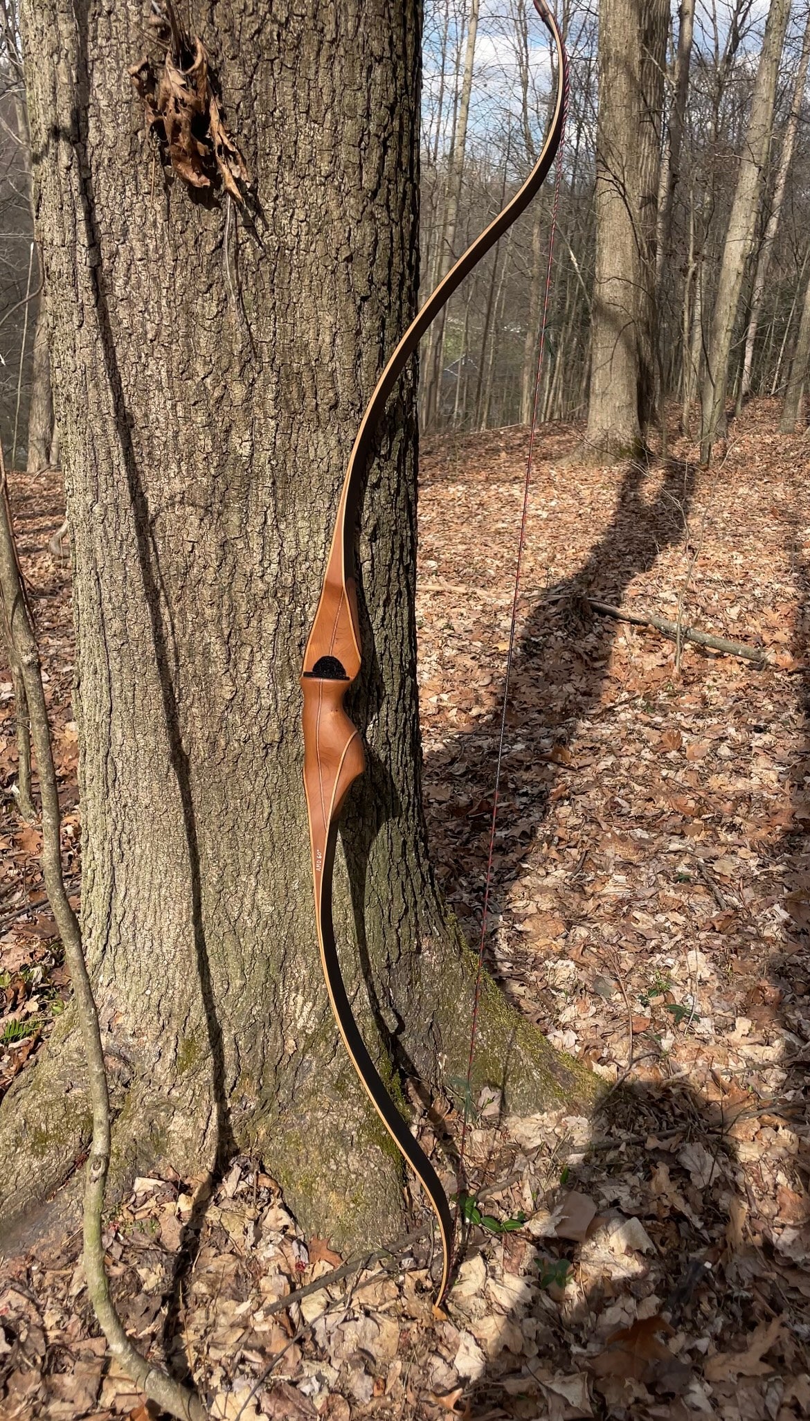 60" Dead End One Piece Recurve 43# @ 28"