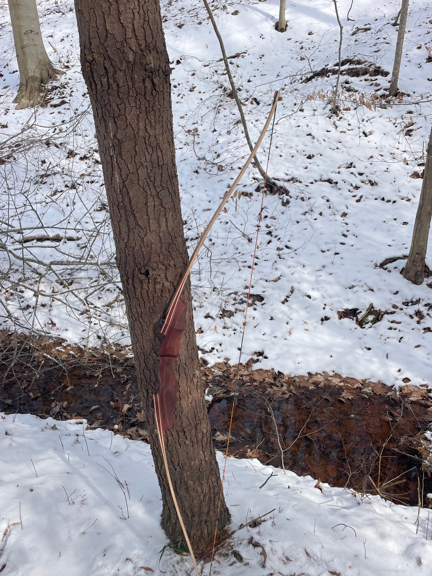 64" Hayestani Take Down Longbow 36# @ 28"