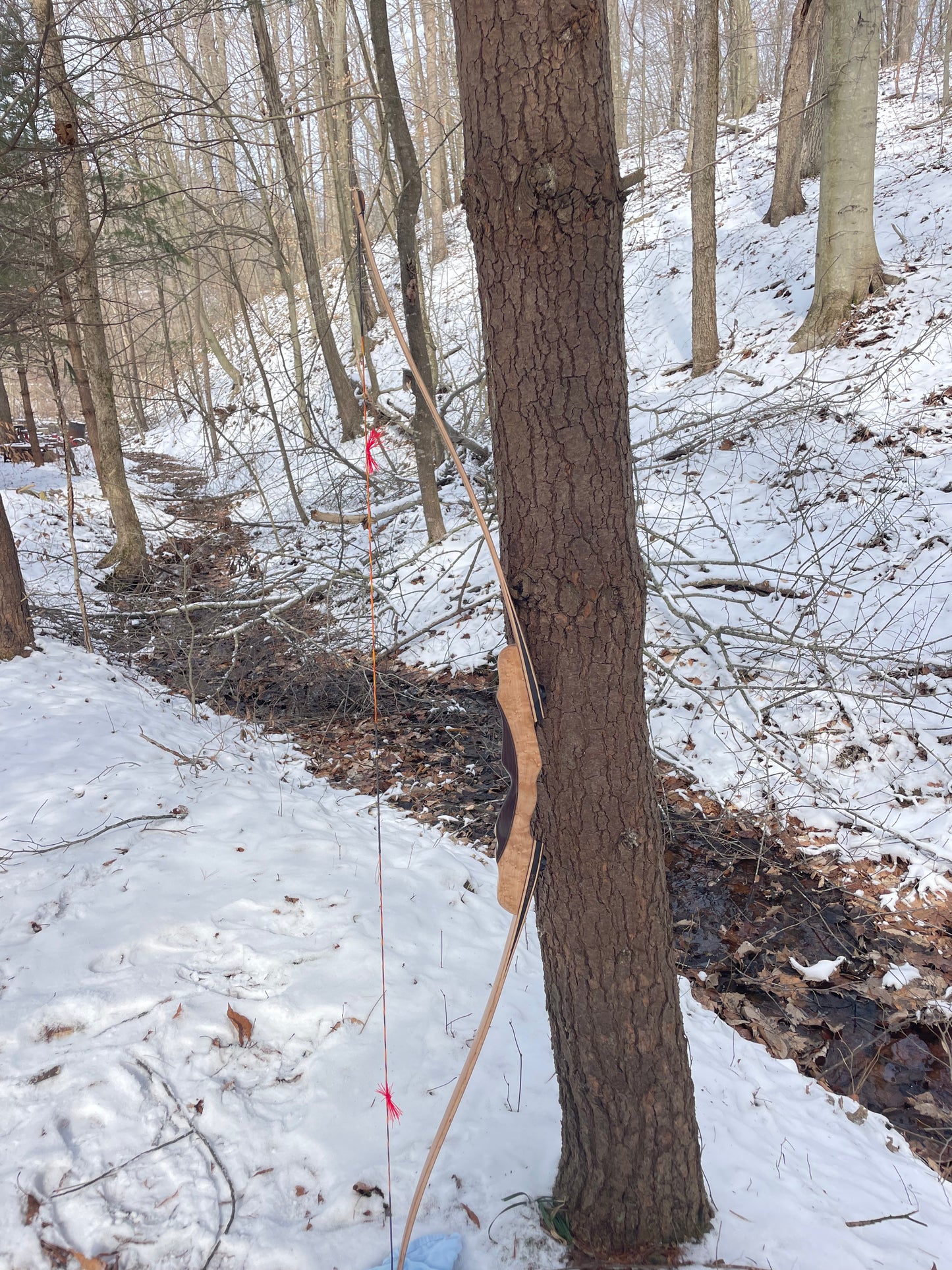 64" Hayestani Take Down Longbow 42# @ 28"