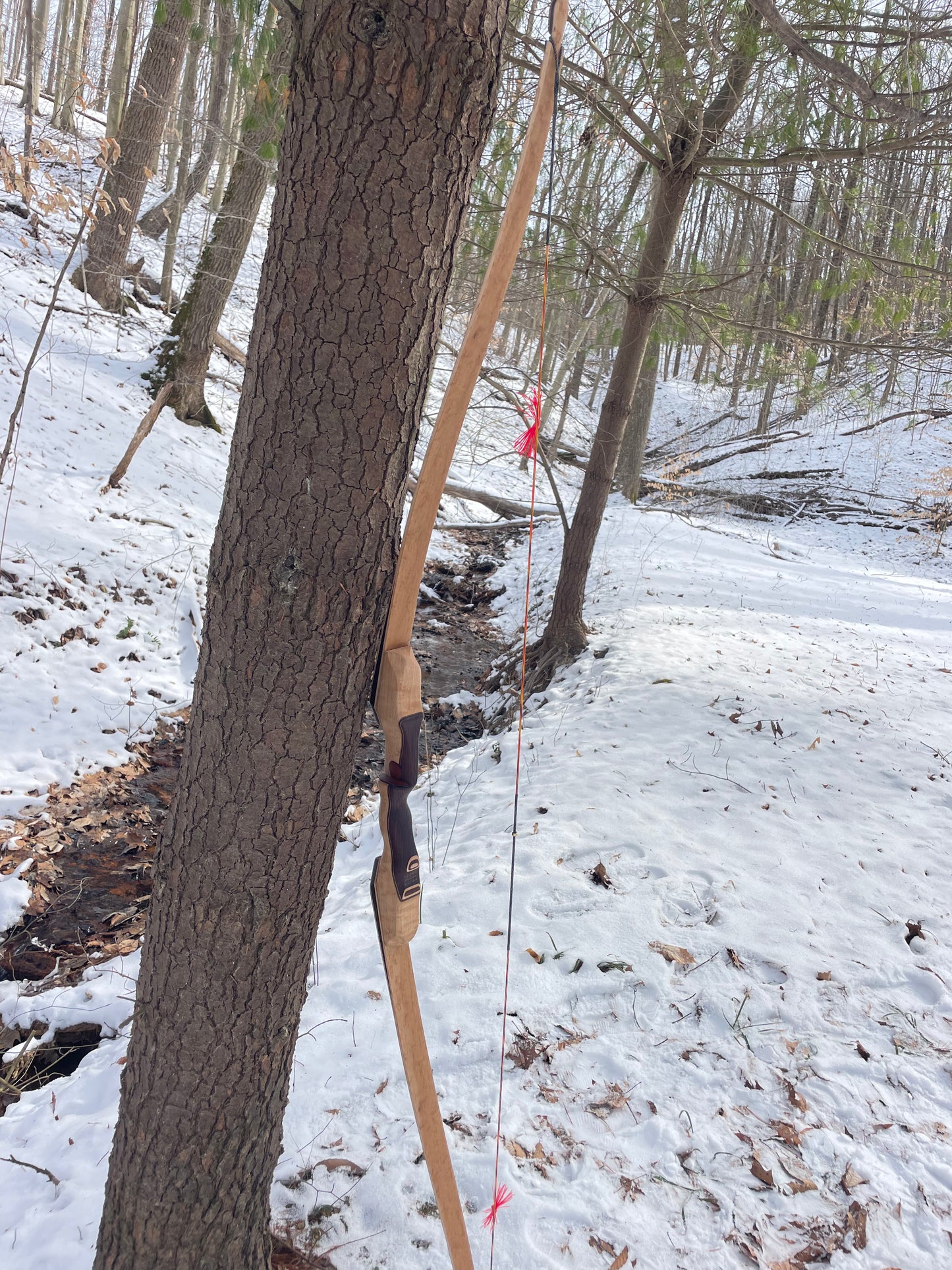 64" Hayestani Take Down Longbow 42# @ 28"