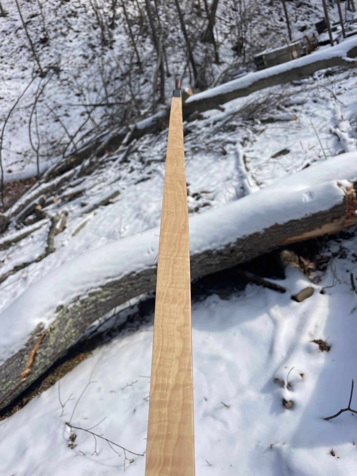 64" Hayestani Take Down Longbow 33# @ 28"