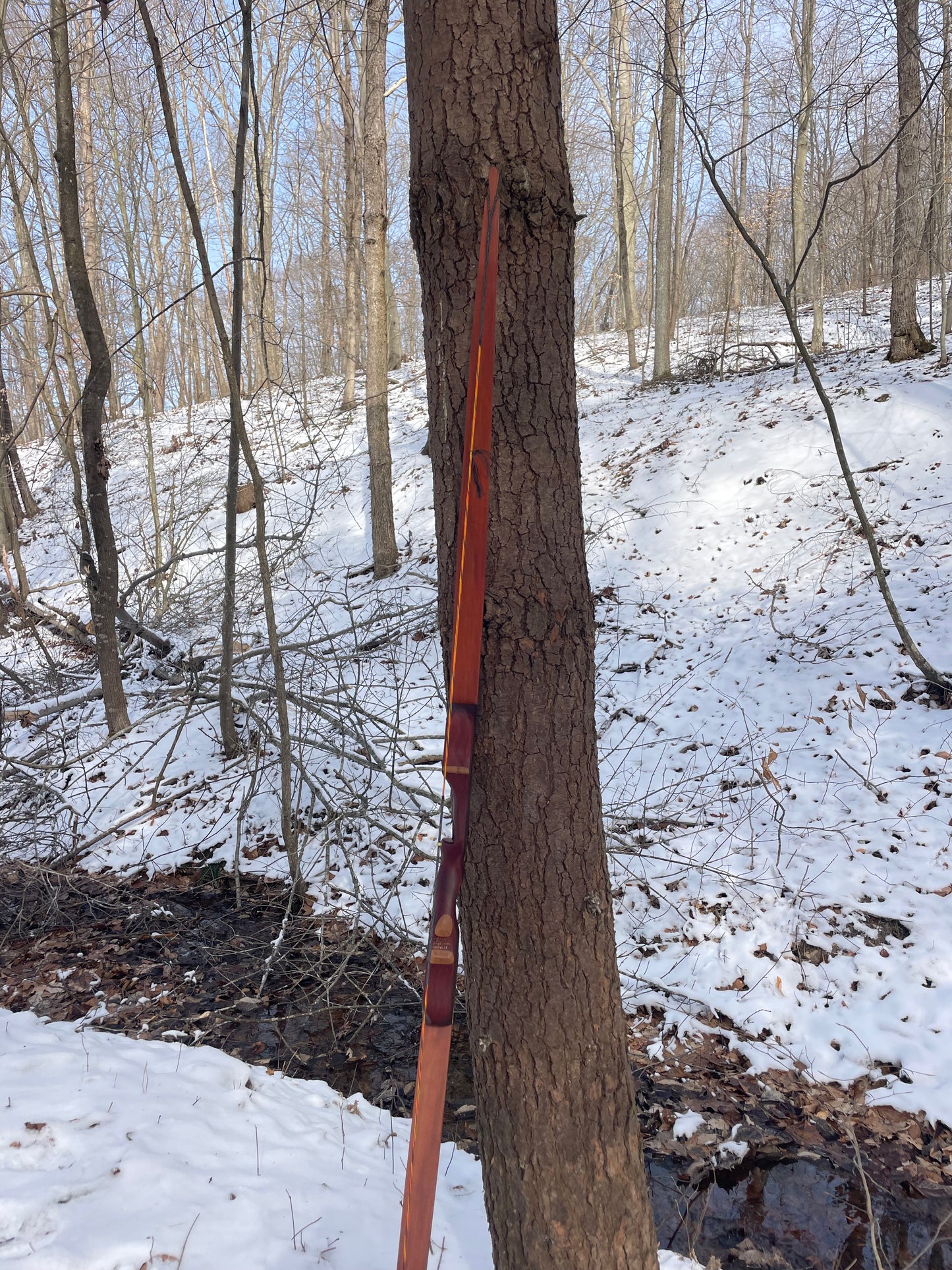 62" Hayestani Take Down Longbow 44.5# @ 28"