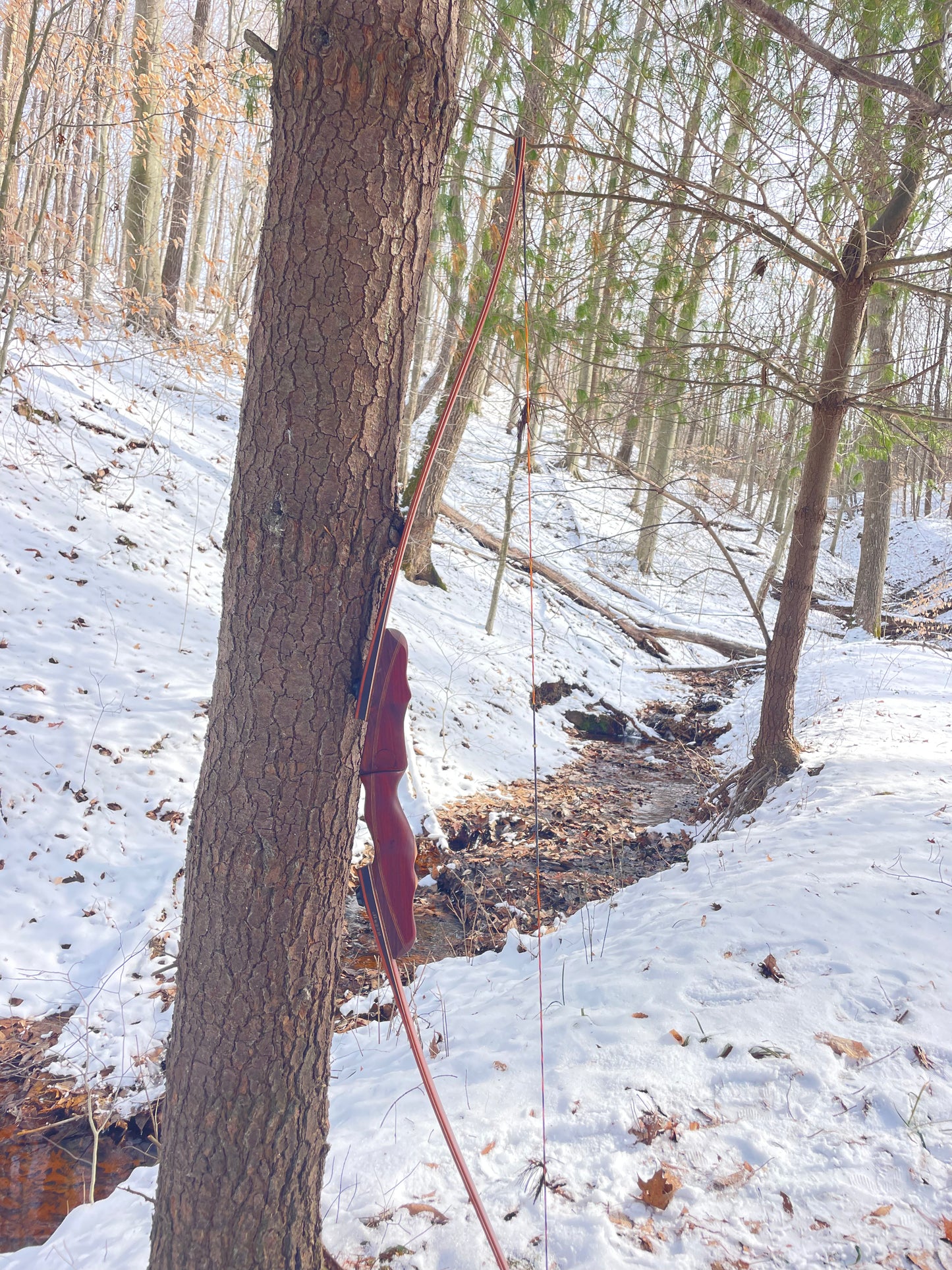 62" Hayestani Take Down Longbow 44.5# @ 28"