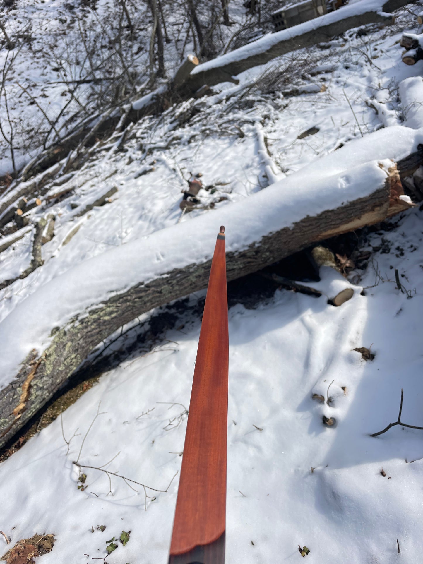 62" Hayestani Take Down Longbow 44.5# @ 28"