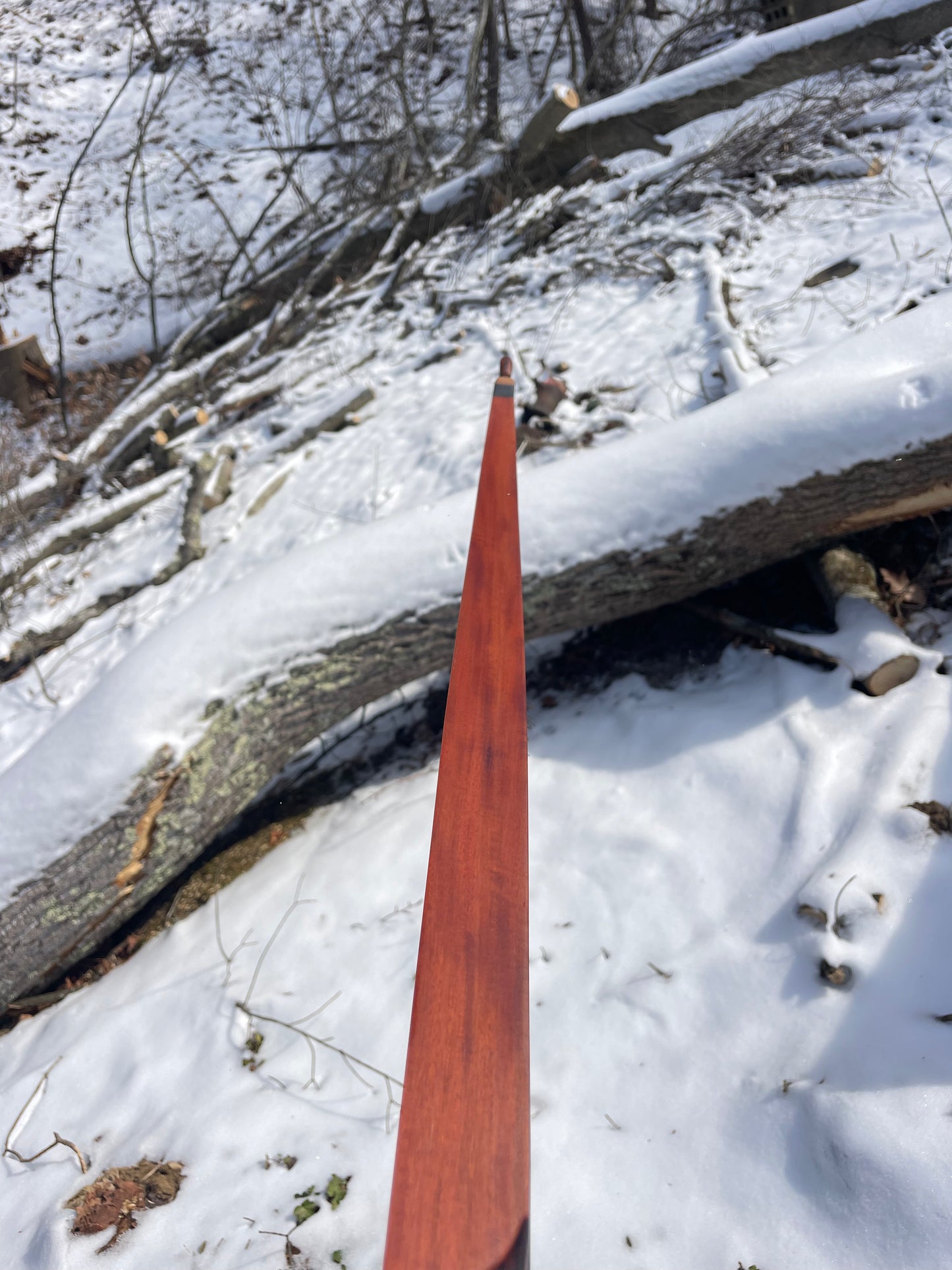62" Hayestani Take Down Longbow 44.5# @ 28"