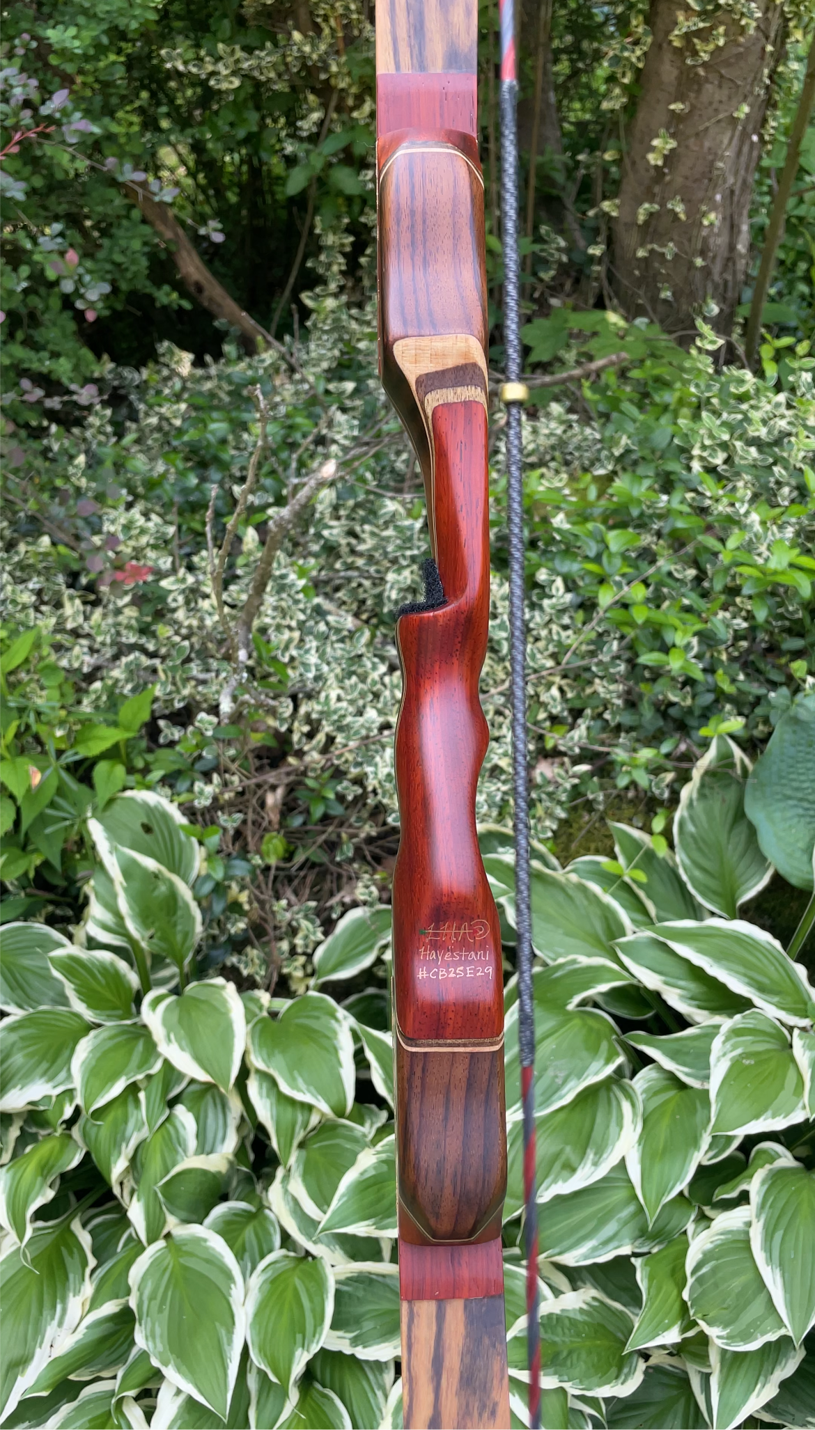 64" Hayestani Take Down Longbow 43# @ 28"